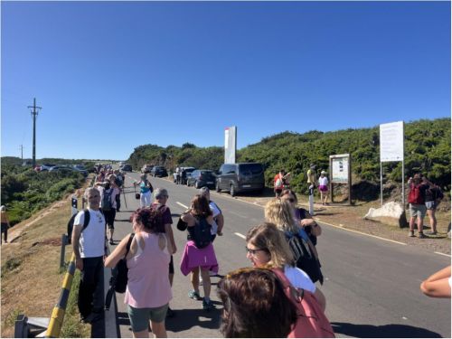 SANTA CRUZ A CAMINHAR 2025| Levada &ldquo;Lagos da Madeira &rdquo; 